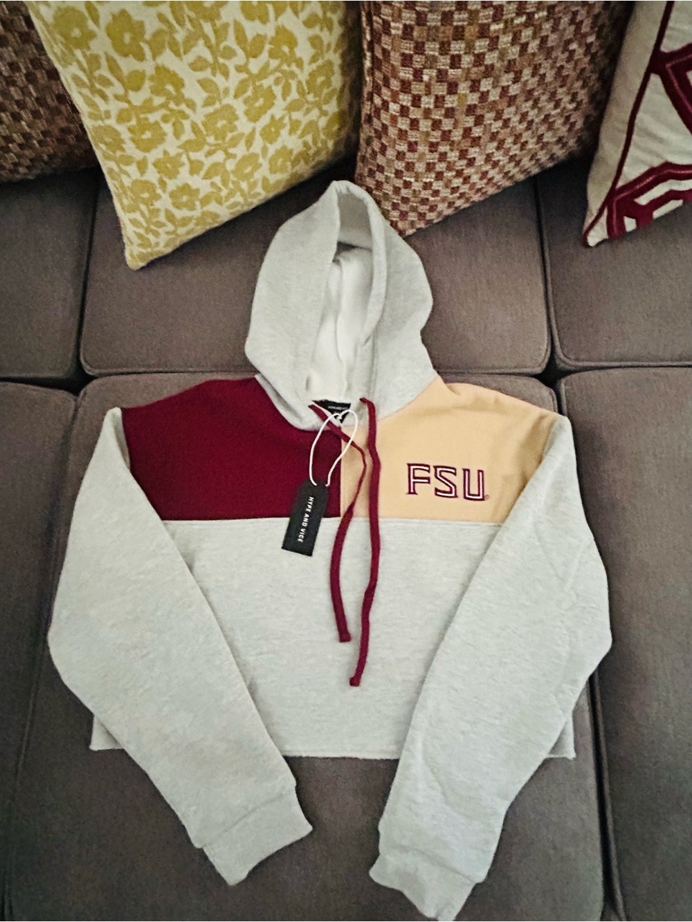 FSU Colorblock Cropped Hoodie Sweatshirt